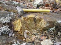 maple gold mines goldhaltiges gestein - Profil