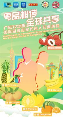 unnamed file - Rekrutierung eines internationalen Markenbotschafters für die sechs bedeutenden Früchte Guangdongs