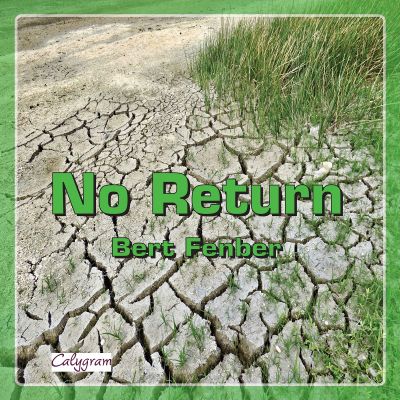 no return cover1200 - Singer/Songwriter Bert Fenber mit "No Return" gegen den Klimawandel