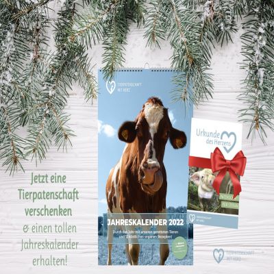 tmh webseite slider 1167x886 1 - Das nachhaltigste Weihnachtsgeschenk für alle, die Tiere lieben: "Tierpatenschaft mit Herz" verschenken