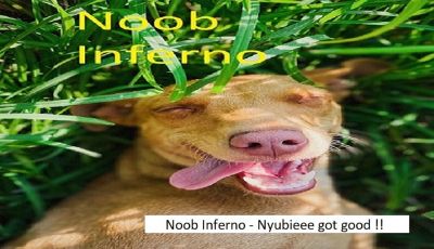noob inferno logo - E-Sport Gruppe "Noob Inferno" postet seine Spiele auf Youtube