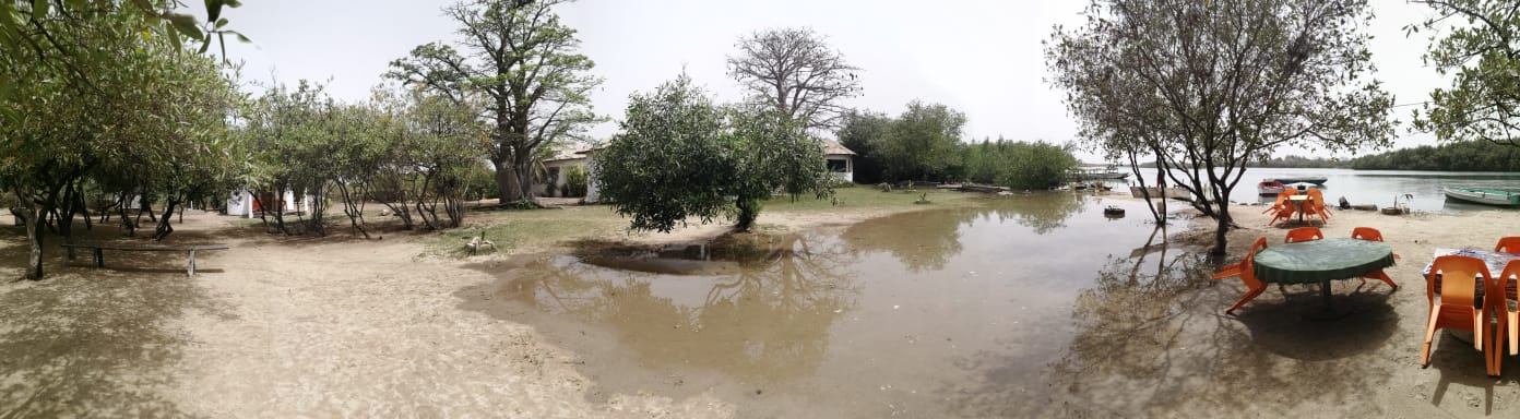 GAMBIA: IM FLUSSDELTA DES IDYLLISCHEN ALLAHEIN-FLUSSES UND DIREKT AM ATLANTIK LOCKT DIE STALA ADVENTURE LODGE MIT 'HAUSTIERE WILLKOMMEN'