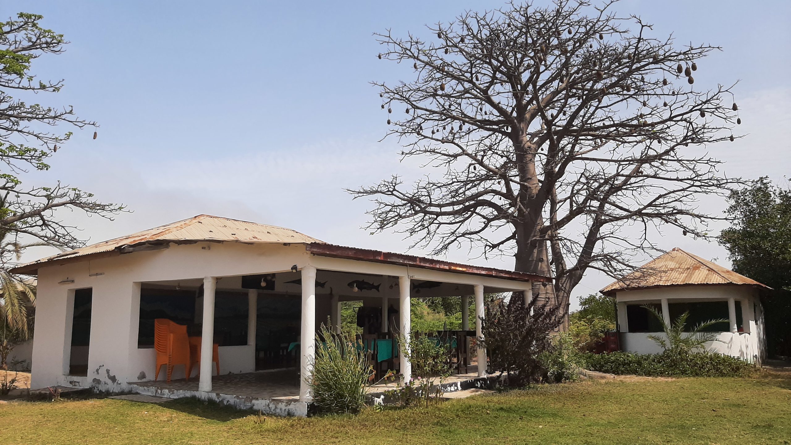 THE GAMBIA: IN THE RIVER DELTA OF THE IDYLLIC ALLAHEIN-RIVER AND DIRECTLY ON THE ATLANTIC: THE STALA ADVENTURE LODGE BECKONS WITH 'PETS ❤️-WELCOME'